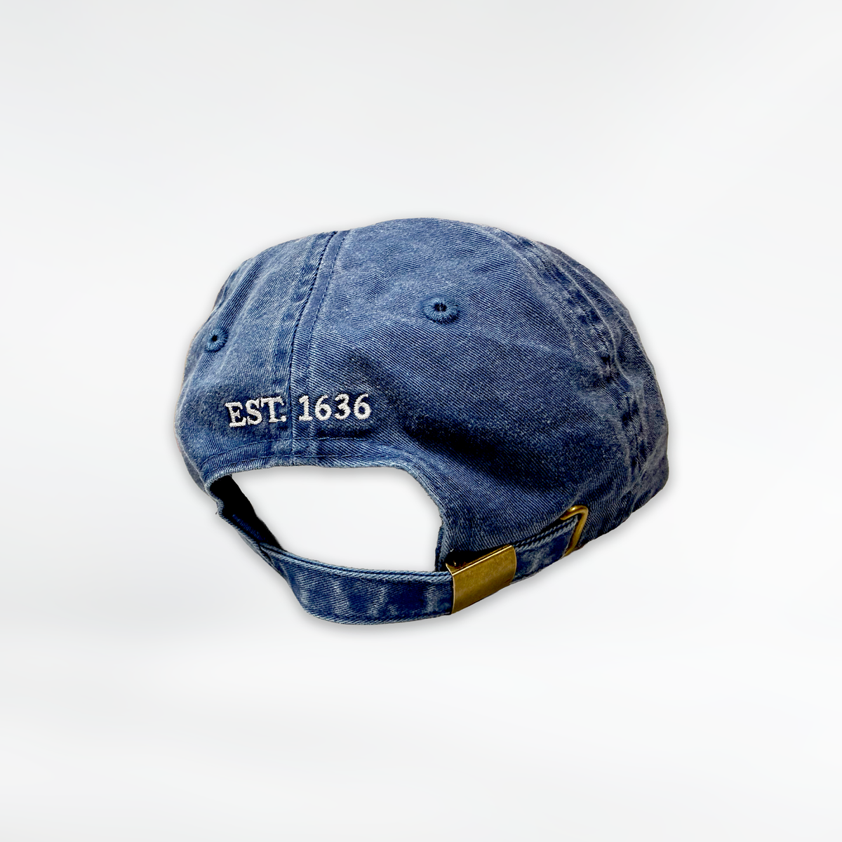 Rhode Island USA Flag Hat