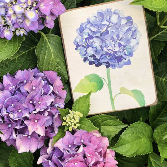 Hydrangea Flower Wooden Block