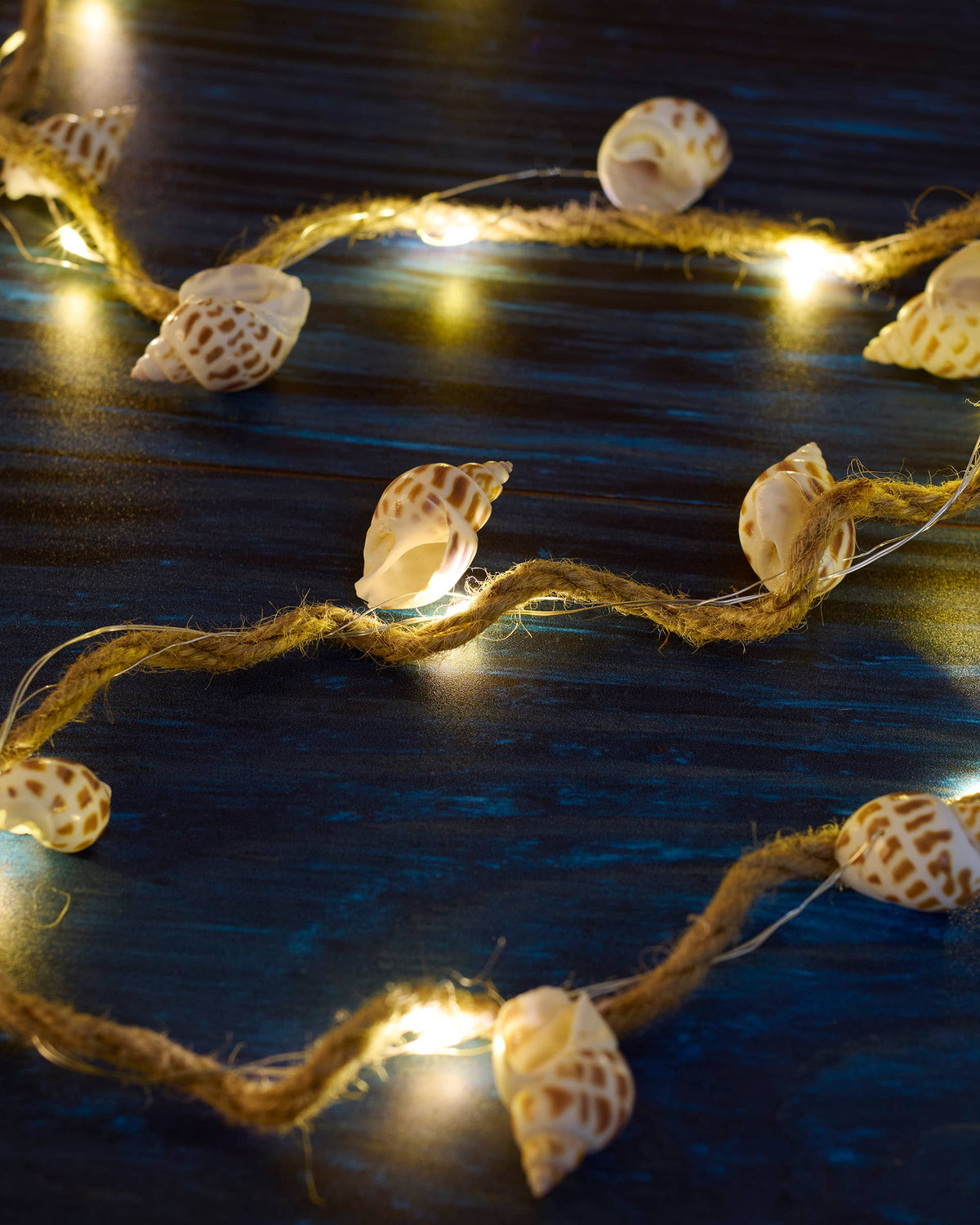 Beach Shell String Lights