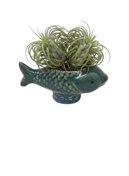 Fish Holder_Blue