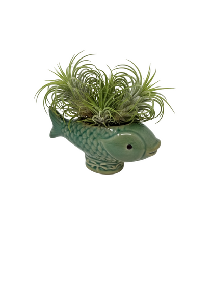 Fish Holder_Sage