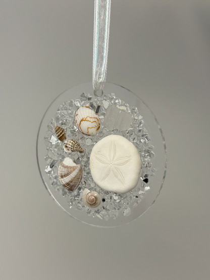 Sand Dollar Shell Ornament