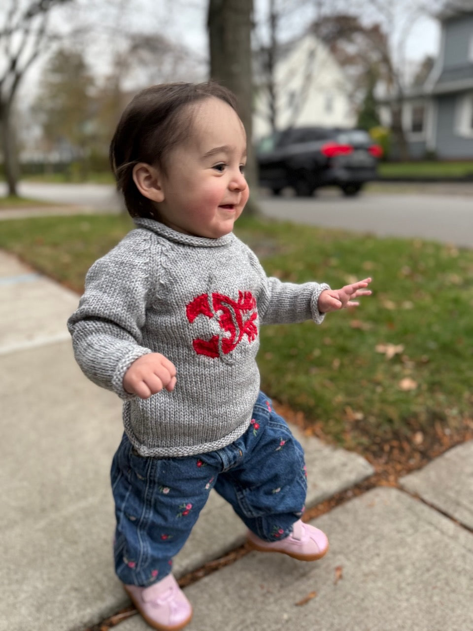 Little Lobster Alpaca Knit Sweater
