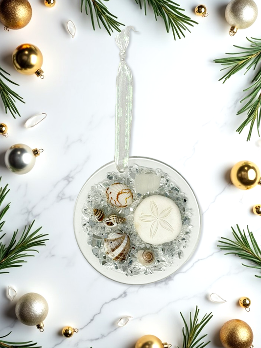 Sand Dollar Shell Ornament