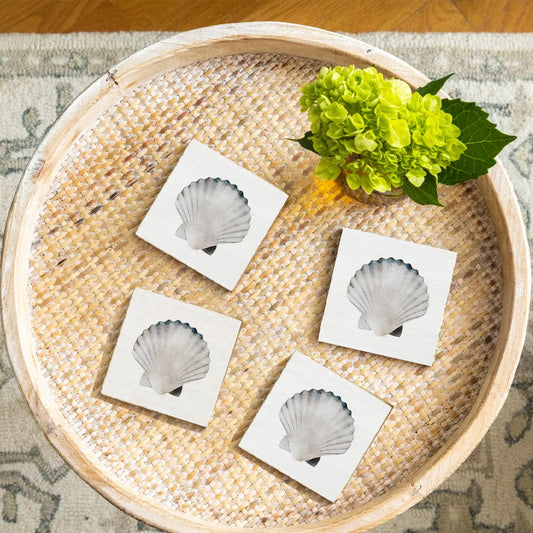 Watercolor Seashell Coaster Set