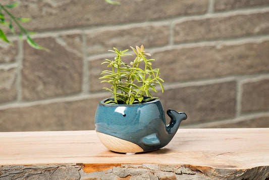 Small Blue Whale Planter