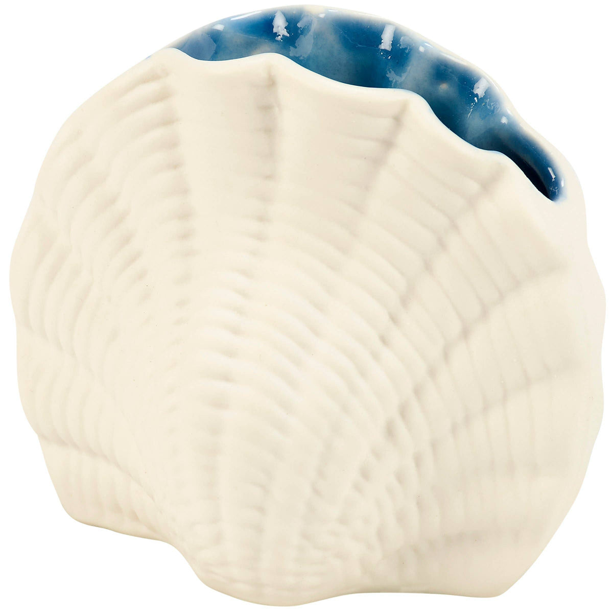 Small Seashell Vase