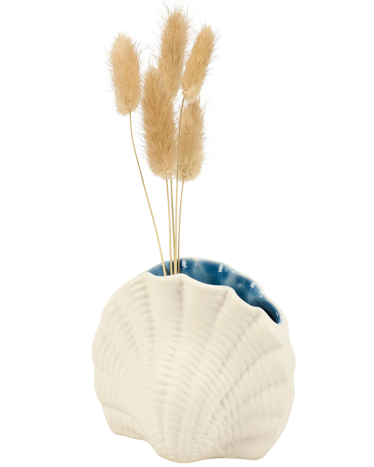 Small Seashell Vase