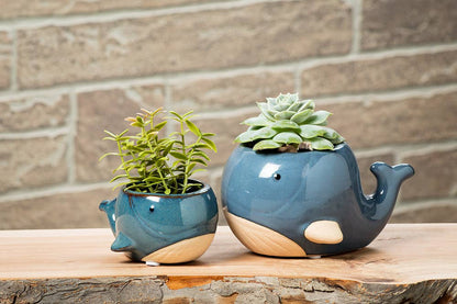 Lg Blue Whale Planter